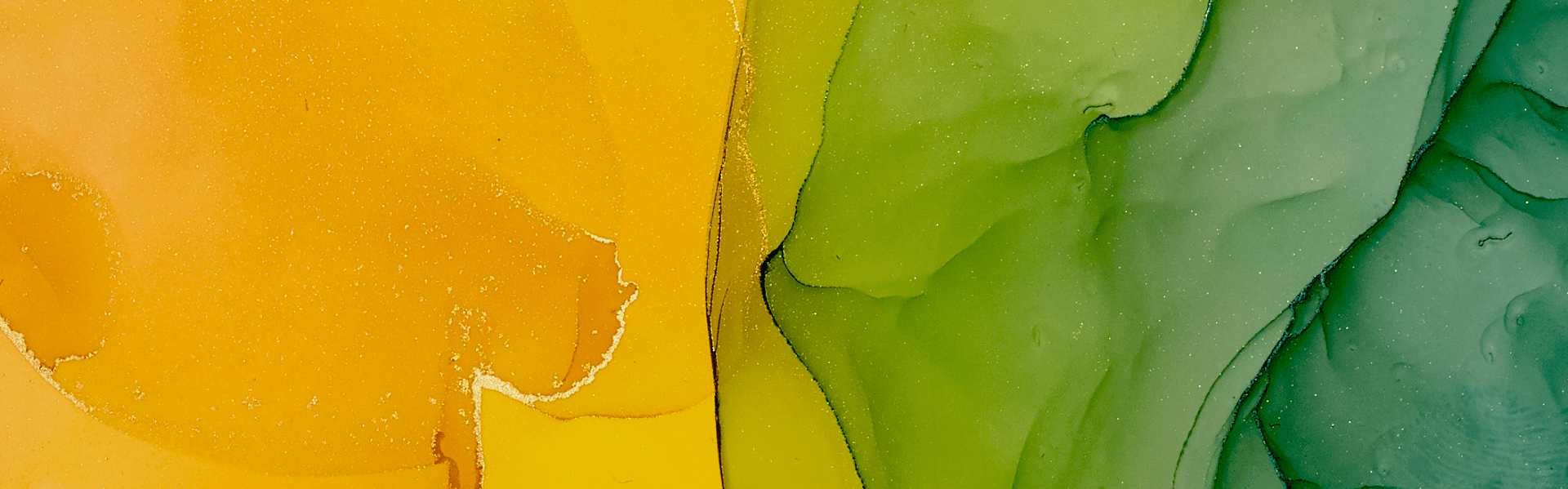 Financial Regulation